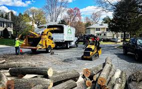 Best Lawn Mowing  in Wautoma, WI