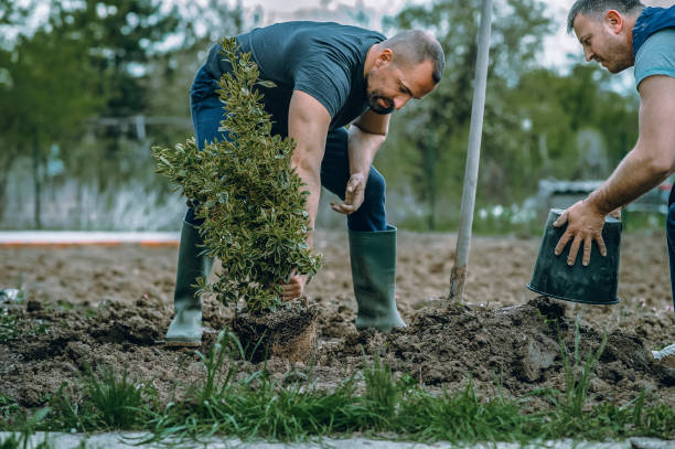 Best Seasonal Cleanup (Spring/Fall)  in Wautoma, WI