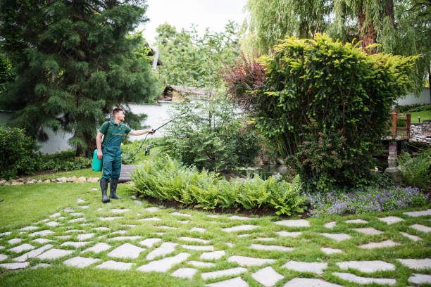 Best Tree Removal  in Wautoma, WI