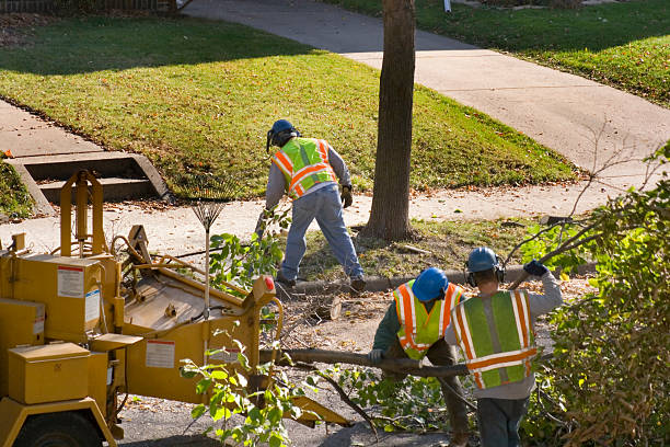 Best Lawn Watering Services  in Wautoma, WI