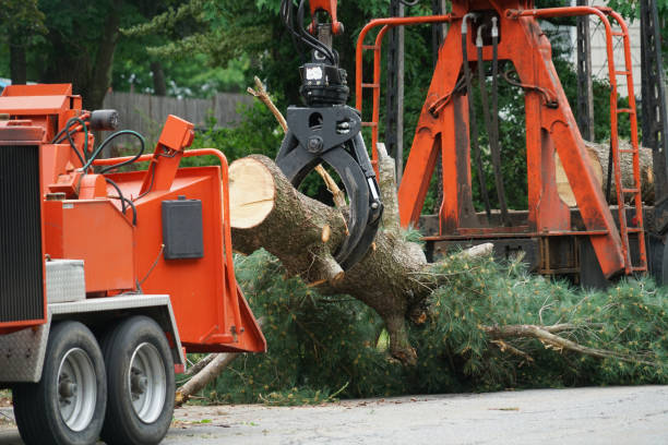 Best Lawn Pest Prevention  in Wautoma, WI
