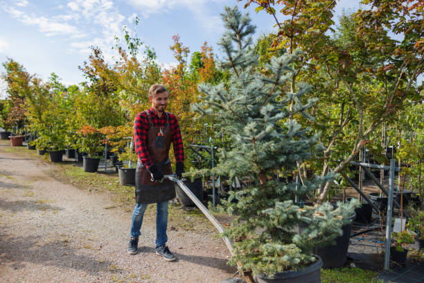 Best Seasonal Cleanup (Spring/Fall)  in Wautoma, WI