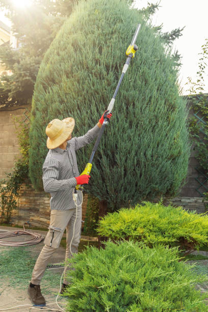 Best Tree Preservation Services  in Wautoma, WI