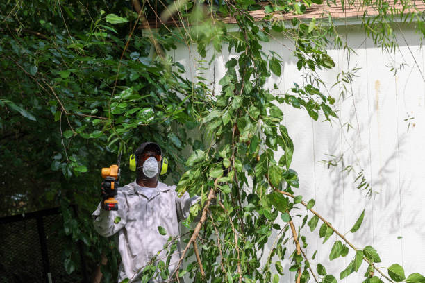 Best Tree Maintenance Programs  in Wautoma, WI