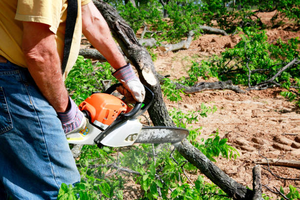 Best Aeration Services  in Wautoma, WI